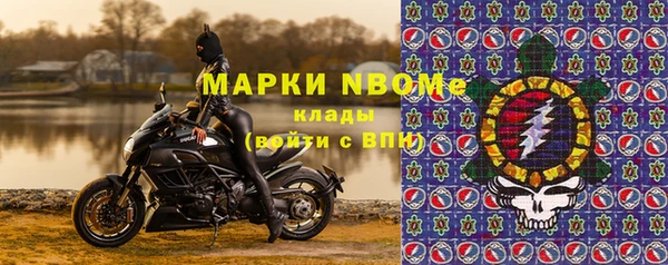 прущие грибы Бронницы