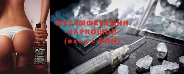прущие грибы Бронницы