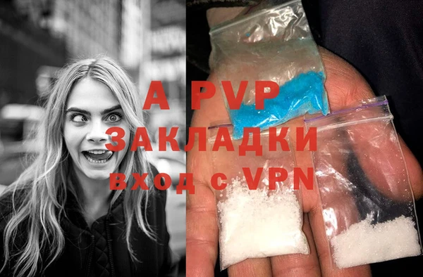 прущие грибы Бронницы