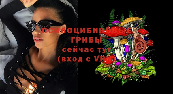 прущие грибы Бронницы