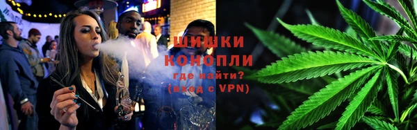 прущие грибы Бронницы