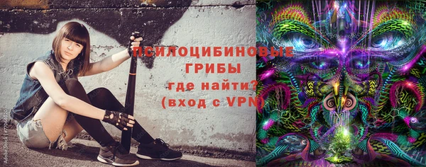 шишки Няндома