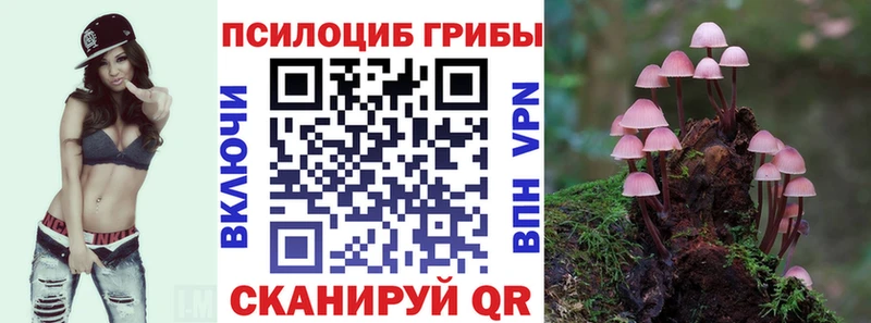 Галлюциногенные грибы Psilocybe  Петров Вал 
