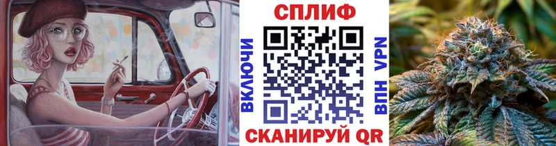 Конопля White Widow  наркошоп  Петров Вал 